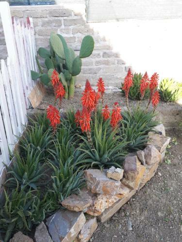 Bed And Breakfast Angolo Fiorito