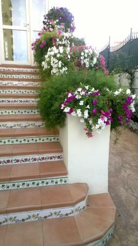 Bed And Breakfast Angolo Fiorito