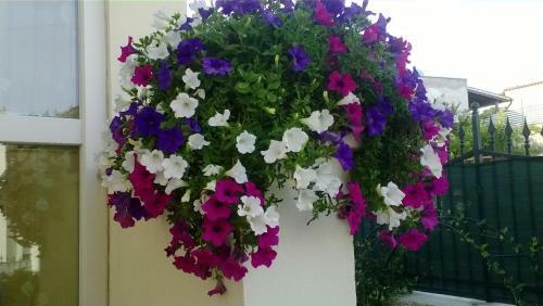 Bed And Breakfast Angolo Fiorito