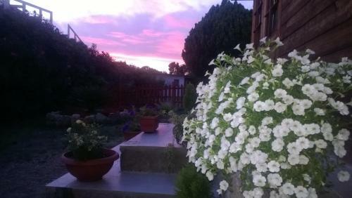 Bed And Breakfast Angolo Fiorito