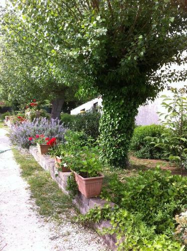 Bed & Breakfast Villa Isa 2