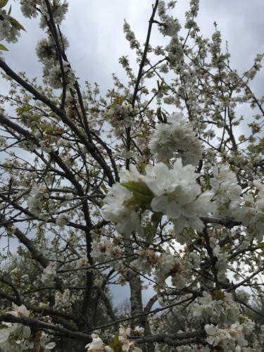 Apartamento Giardino Di Potentino