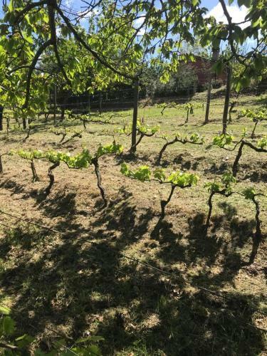 Apartamento Giardino Di Potentino