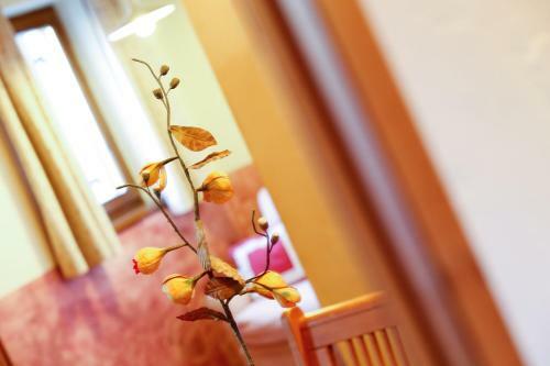 Park Hotel Leonardo