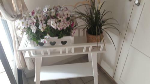 Salerno Inn B&B