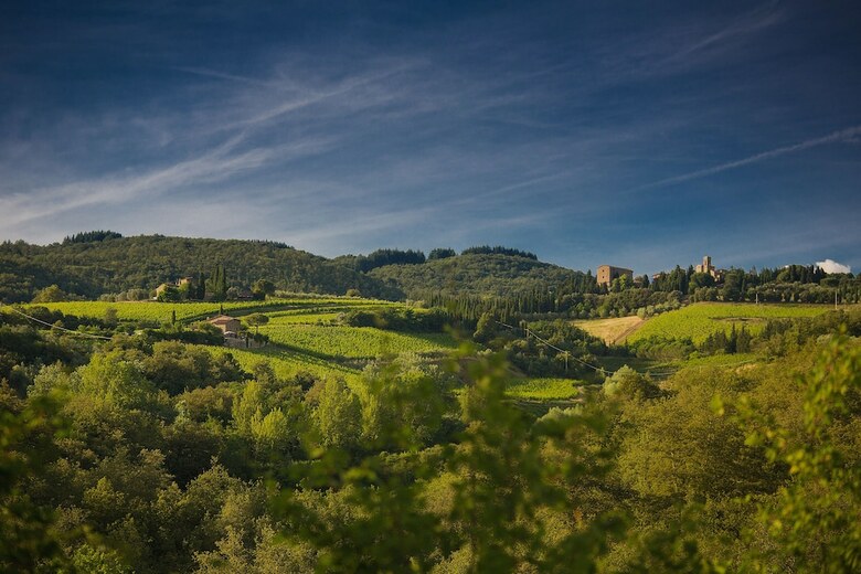 Agroturismo Castello Di Volpaia