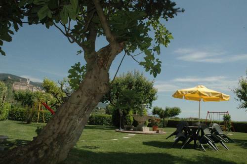 Agroturismo Agriturismo Il Girasole Assisi