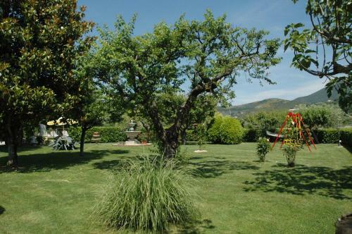 Agroturismo Agriturismo Il Girasole Assisi