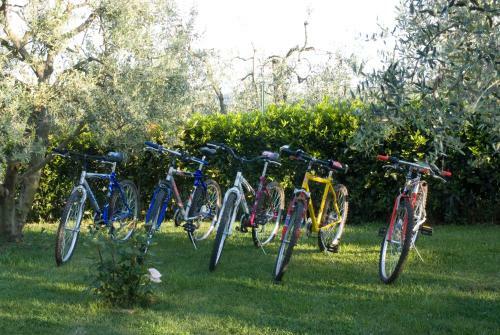 Agroturismo Agriturismo Macinatico