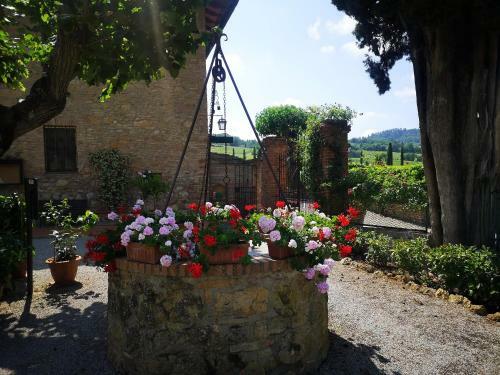 Agroturismo Il Casale Del Cotone