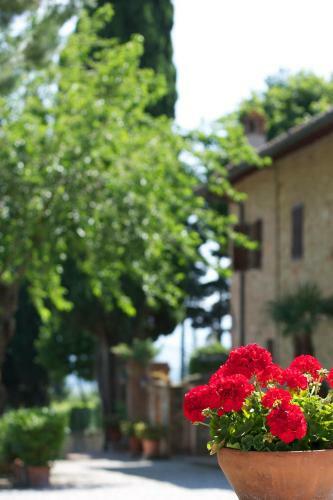Agroturismo Il Casale Del Cotone
