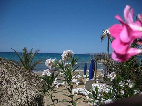 Apartamento Vista Mare