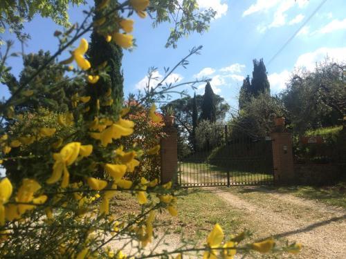 Villa Agriturismo Podere Giuncarelli