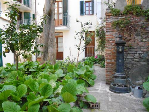 Apartamento Residence Domus