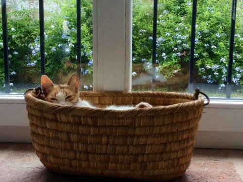 Agroturismo La Martina Country House