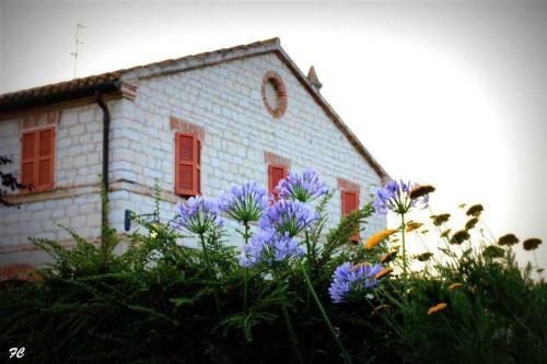 Agroturismo La Martina Country House