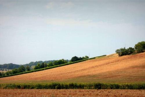 Agroturismo La Martina Country House