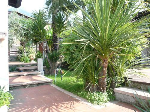Oasi Holiday Home