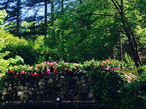Le Rocce Di Scanno B&B Di Charme