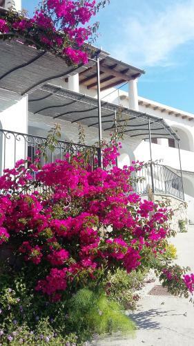 Aparthotel Oltremare Residence Hotel