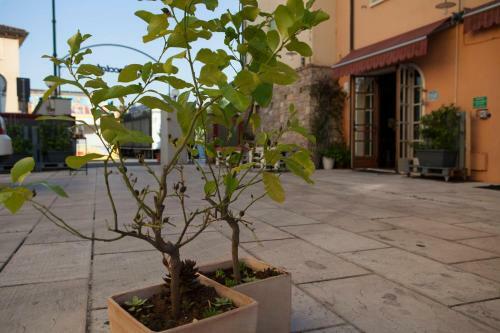 Hotel Albergo Al Cacciatore Tortellinando