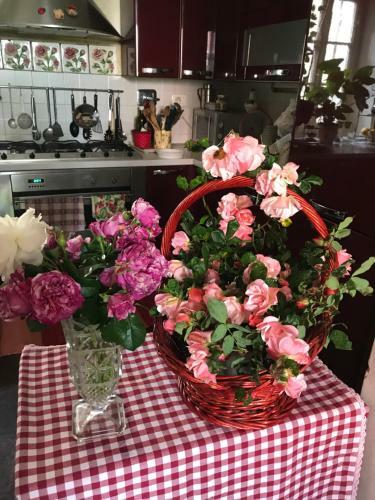 Bed & Breakfast Il Giardino Segreto