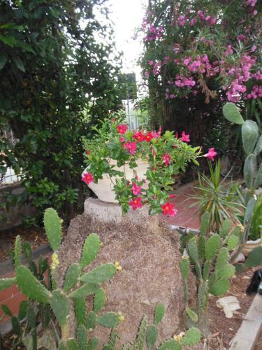 Apartamento Casa Lunastella Locazione Turistica