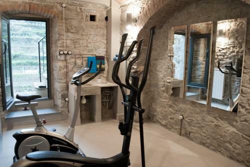Luxury Apartment Manarola