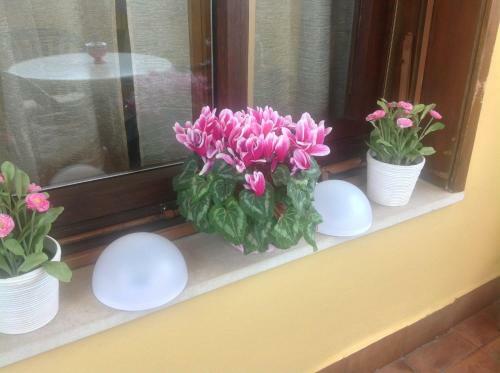 B&B Dei Cavalieri