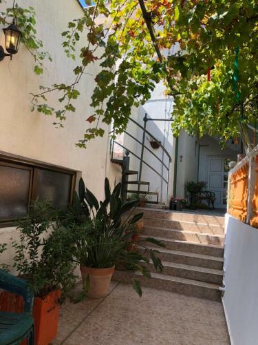Hostal Guest House Kuti