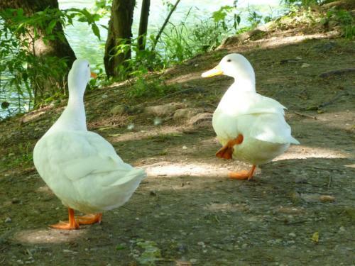 Bed & Breakfast Le Camere Di Virgilio