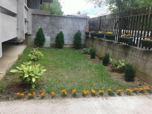 Apartments Miladinovic