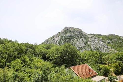 Corovic Apartments