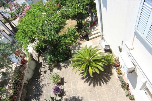 Hostal Guest House Dayana