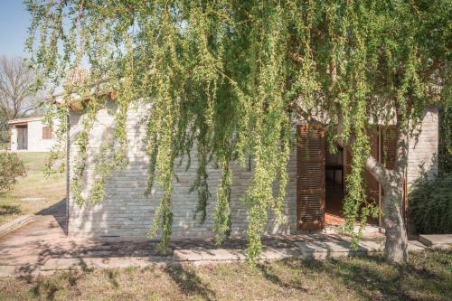 Agroturismo Villa Rinolfa