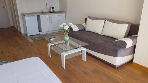 Lux Apartment Vidovic