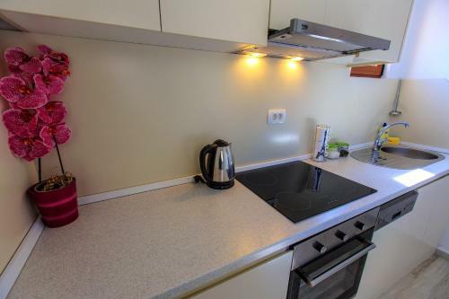 Apartments Matkovic Lux