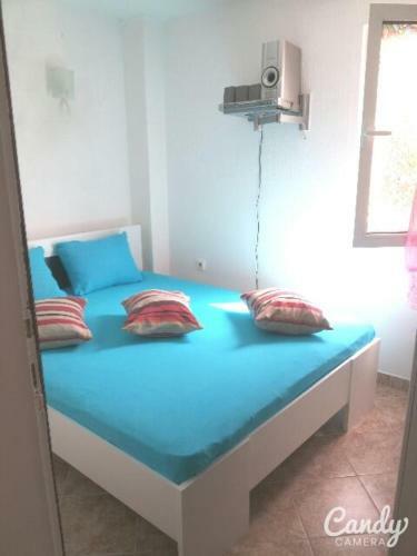 Svetlana Apartament