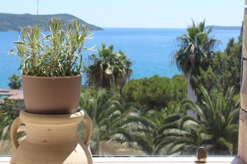 Swiss Hotel Montenegro