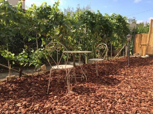 Bed & Breakfast Il Casale Del Giglio