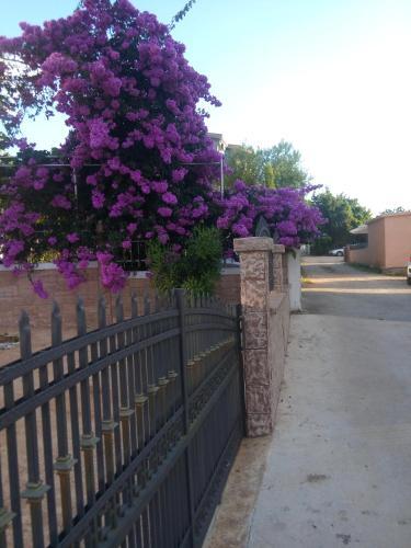 Apartments Vila A1