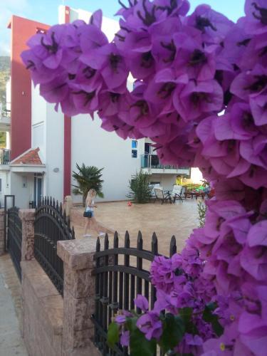 Apartments Vila A1