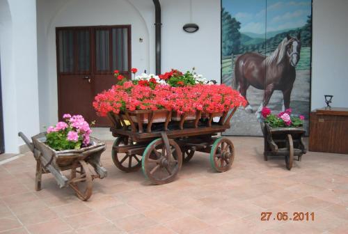 Agroturismo La Pioppa Agriturismo