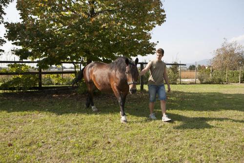 Agroturismo La Pioppa Agriturismo