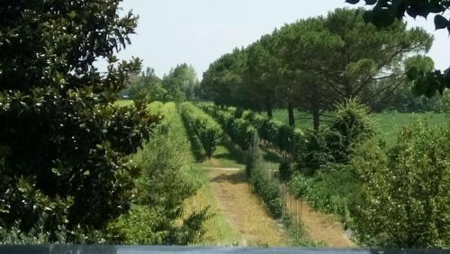 Agroturismo La Pioppa Agriturismo