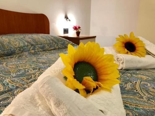 Apartamento Casa Longo
