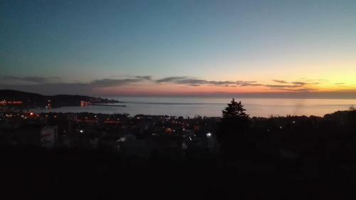 Apartman 72