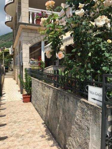 Bed & Breakfast Apartments And Rooms Villa Gaga 2