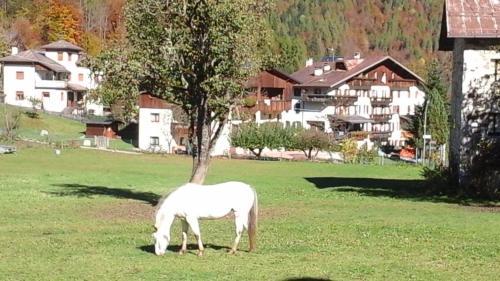 Bed & Breakfast La Sloda