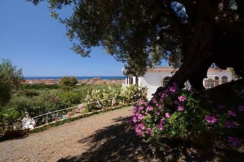 Hostal Il Paradiso Di Hyele